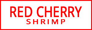 Red Cherry Shrimp Main Logo 7249201