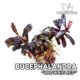 Bucephalandra Brownie Red 1438380 80x80