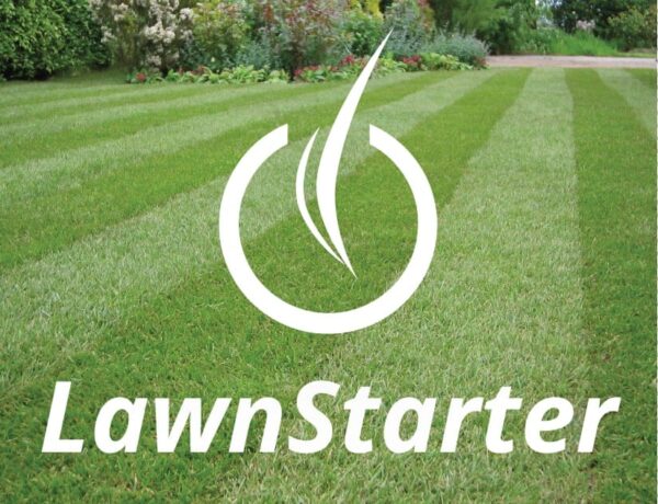 best-lawn-mowing-services-in-seattle-2