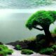 Aquascaping For Beginners. Introduction 4829474 80x80