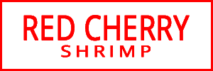 Red Cherry Shrimp Main Logo 4569313