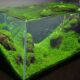 the-rimless-aquarium-tank-hype-3