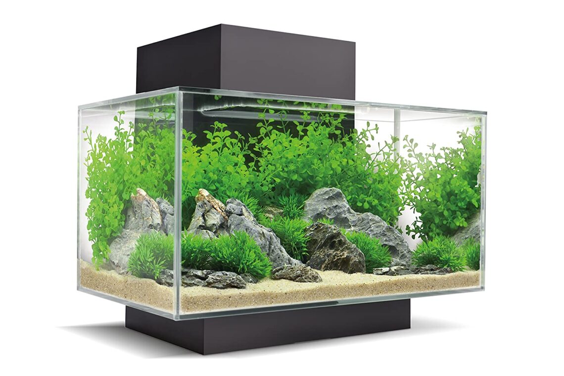 fluval-edge-aquarium-kit-6-gallon-2