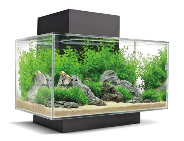 fluval-edge-aquarium-kit-6-gallon-2