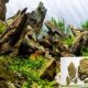 10-lbs-ohko-stone-by-aquarium-plants-galore-2