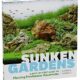 sunken-gardens-a-step-by-step-guide-to-planting-freshwater-aquariums-2
