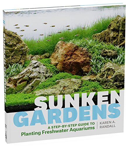 sunken-gardens-a-step-by-step-guide-to-planting-freshwater-aquariums-2