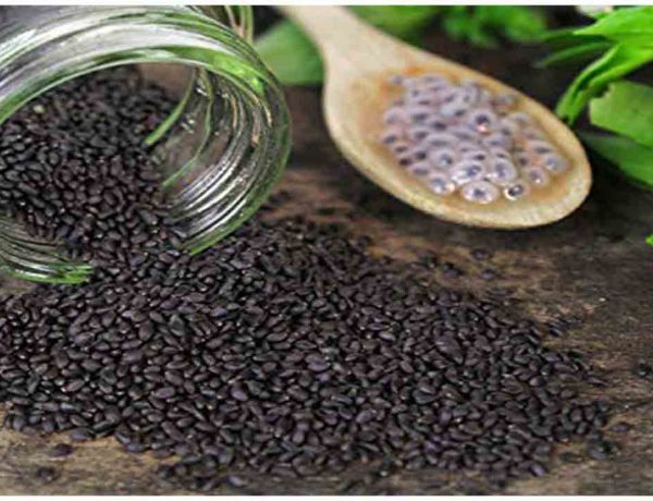 10 Health Benefits Basil Seeds