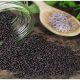 10 Health Benefits Basil Seeds 80x80